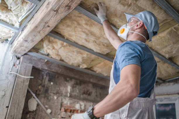 Best Eco-Friendly Insulation in Smithville, TN